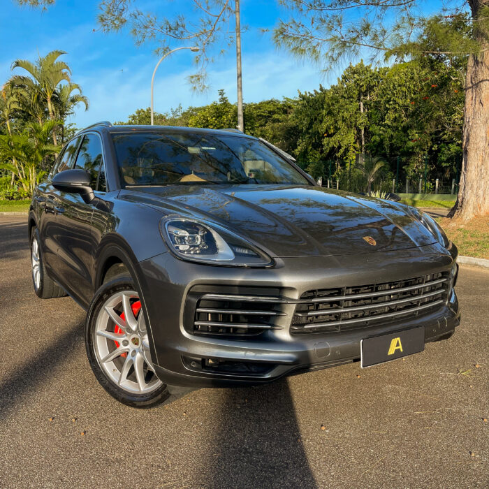 PORSCHE CAYENNE 2019 completo