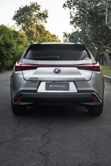 LEXUS UX 250H 2022 completo