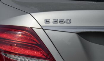 MERCEDES-BENZ E250 2017 completo