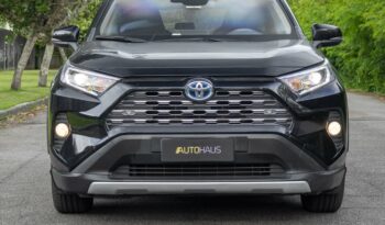 TOYOTA RAV4 2019 completo