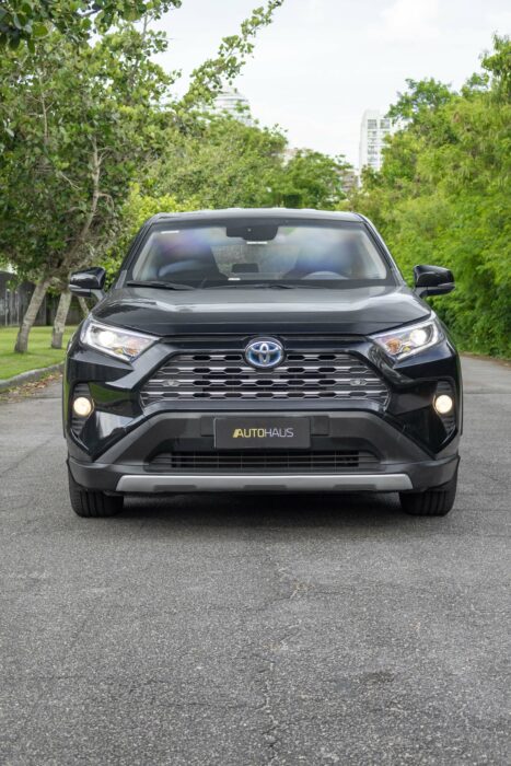 TOYOTA RAV4 2019 completo