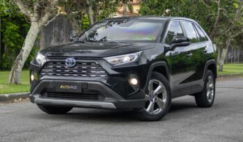 TOYOTA RAV4 2019 completo