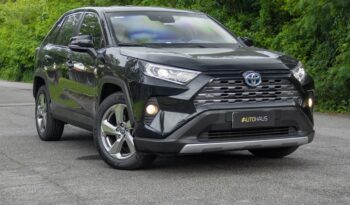 TOYOTA RAV4 2019 completo