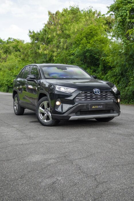 TOYOTA RAV4 2019 completo