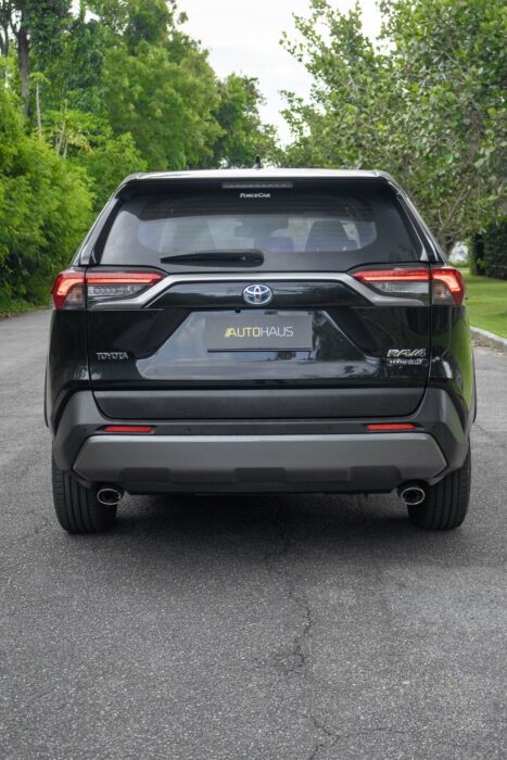 TOYOTA RAV4 2019 completo