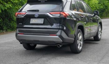 TOYOTA RAV4 2019 completo