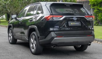 TOYOTA RAV4 2019 completo