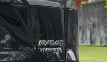 TOYOTA RAV4 2019 completo