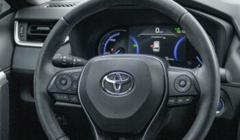 TOYOTA RAV4 2019 completo