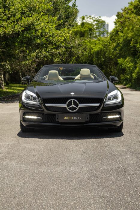 MERCEDES-BENZ SLK 250 2014 completo