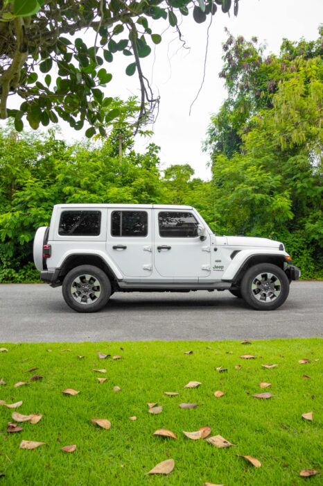 JEEP WRANGLER 2022 completo